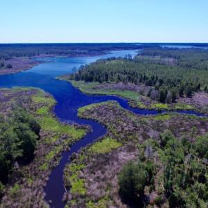 Photo of SOLD!  50 Acres of Waterfront Hunting Land for Sale in Hyde County NC!