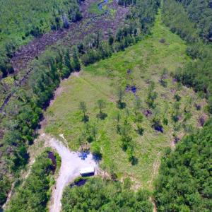 Photo of SOLD!  50 Acres of Waterfront Hunting Land for Sale in Hyde County NC!