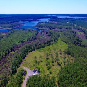 Photo of SOLD!  50 Acres of Waterfront Hunting Land for Sale in Hyde County NC!