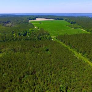 Photo of SOLD!  50 Acres of Waterfront Hunting Land for Sale in Hyde County NC!