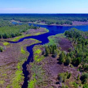 Photo of SOLD!  50 Acres of Waterfront Hunting Land for Sale in Hyde County NC!