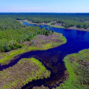 Photo of SOLD!  50 Acres of Waterfront Hunting Land for Sale in Hyde County NC!