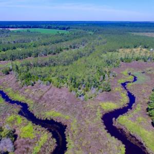 Photo of SOLD!  50 Acres of Waterfront Hunting Land for Sale in Hyde County NC!
