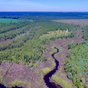 Photo of SOLD!  50 Acres of Waterfront Hunting Land for Sale in Hyde County NC!