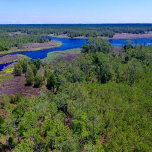 Photo of SOLD!  50 Acres of Waterfront Hunting Land for Sale in Hyde County NC!