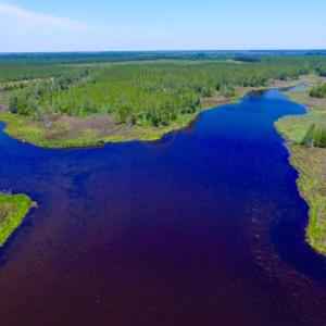 Photo of SOLD!  50 Acres of Waterfront Hunting Land for Sale in Hyde County NC!