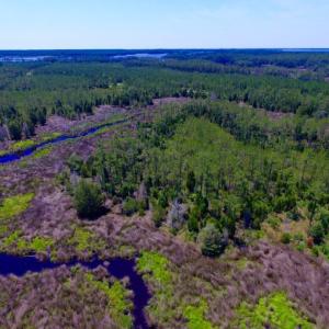 Photo of SOLD!  50 Acres of Waterfront Hunting Land for Sale in Hyde County NC!