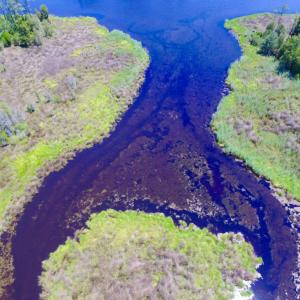 Photo of SOLD!  50 Acres of Waterfront Hunting Land for Sale in Hyde County NC!