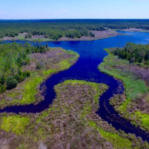 Photo of SOLD!  50 Acres of Waterfront Hunting Land for Sale in Hyde County NC!