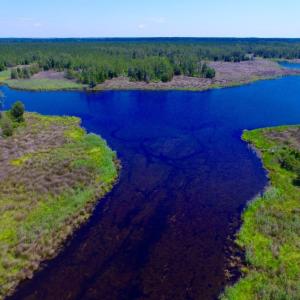Photo of SOLD!  50 Acres of Waterfront Hunting Land for Sale in Hyde County NC!