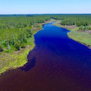Photo of SOLD!  50 Acres of Waterfront Hunting Land for Sale in Hyde County NC!