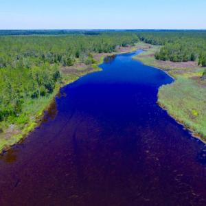 Photo of SOLD!  50 Acres of Waterfront Hunting Land for Sale in Hyde County NC!