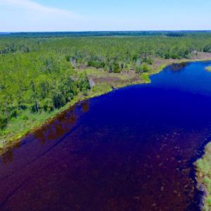 Photo of SOLD!  50 Acres of Waterfront Hunting Land for Sale in Hyde County NC!