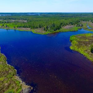 Photo of SOLD!  50 Acres of Waterfront Hunting Land for Sale in Hyde County NC!