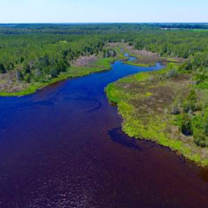 Photo of SOLD!  50 Acres of Waterfront Hunting Land for Sale in Hyde County NC!