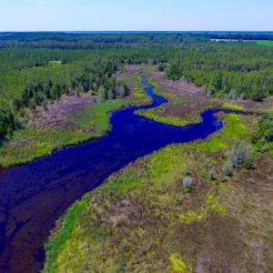 Photo of SOLD!  50 Acres of Waterfront Hunting Land for Sale in Hyde County NC!