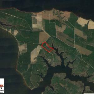 Photo of SOLD!  50 Acres of Waterfront Hunting Land for Sale in Hyde County NC!