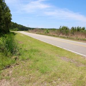 Photo of SOLD!  50 Acres of Waterfront Hunting Land for Sale in Hyde County NC!