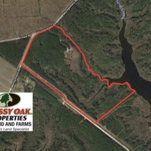 Photo of SOLD!  50 Acres of Waterfront Hunting Land for Sale in Hyde County NC!