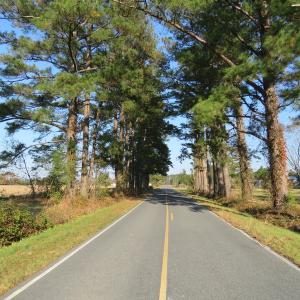 Photo of UNDER CONTRACT!  106 Acres of Residential Farm and Timber Land For Sale in Sampson County NC!