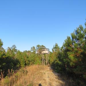 Photo of UNDER CONTRACT!  106 Acres of Residential Farm and Timber Land For Sale in Sampson County NC!