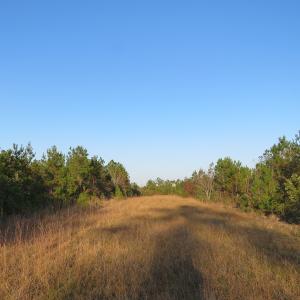 Photo of UNDER CONTRACT!  106 Acres of Residential Farm and Timber Land For Sale in Sampson County NC!