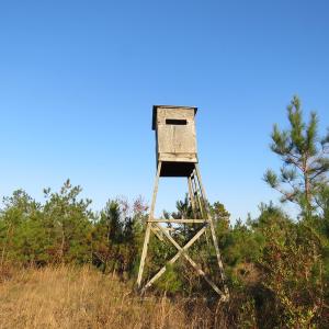 Photo of UNDER CONTRACT!  106 Acres of Residential Farm and Timber Land For Sale in Sampson County NC!