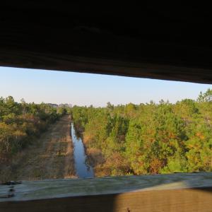 Photo of UNDER CONTRACT!  106 Acres of Residential Farm and Timber Land For Sale in Sampson County NC!