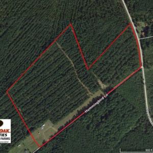 Photo of SOLD!  45 acre Hunting and Timber Land for Sale in Pamlico County NC!