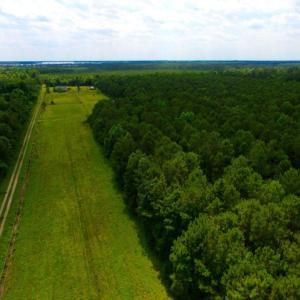 Photo of SOLD!  45 acre Hunting and Timber Land for Sale in Pamlico County NC!