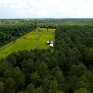 Photo of SOLD!  45 acre Hunting and Timber Land for Sale in Pamlico County NC!