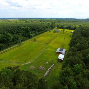 Photo of SOLD!  45 acre Hunting and Timber Land for Sale in Pamlico County NC!