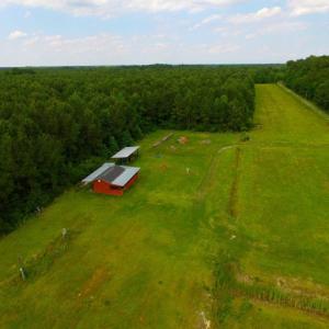 Photo of SOLD!  45 acre Hunting and Timber Land for Sale in Pamlico County NC!