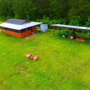 Photo of SOLD!  45 acre Hunting and Timber Land for Sale in Pamlico County NC!