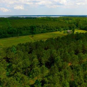 Photo of SOLD!  45 acre Hunting and Timber Land for Sale in Pamlico County NC!