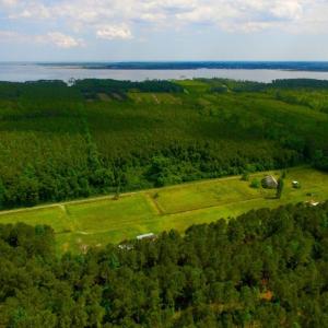 Photo of SOLD!  45 acre Hunting and Timber Land for Sale in Pamlico County NC!