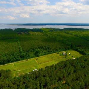 Photo of SOLD!  45 acre Hunting and Timber Land for Sale in Pamlico County NC!
