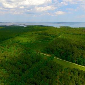 Photo of SOLD!  45 acre Hunting and Timber Land for Sale in Pamlico County NC!