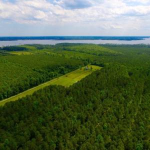 Photo of SOLD!  45 acre Hunting and Timber Land for Sale in Pamlico County NC!