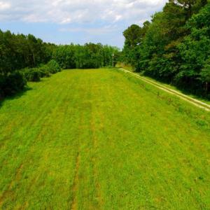 Photo of SOLD!  45 acre Hunting and Timber Land for Sale in Pamlico County NC!