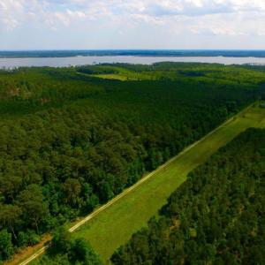 Photo of SOLD!  45 acre Hunting and Timber Land for Sale in Pamlico County NC!