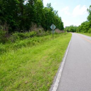 Photo of SOLD!  45 acre Hunting and Timber Land for Sale in Pamlico County NC!