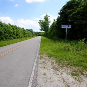 Photo of SOLD!  45 acre Hunting and Timber Land for Sale in Pamlico County NC!