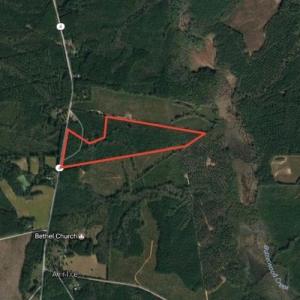 Photo of SOLD!  48.2 Acres of Timber Land For Sale in Halifax County NC!