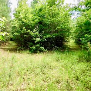 Photo of SOLD!  48.2 Acres of Timber Land For Sale in Halifax County NC!