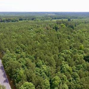 Photo of SOLD!  48.2 Acres of Timber Land For Sale in Halifax County NC!