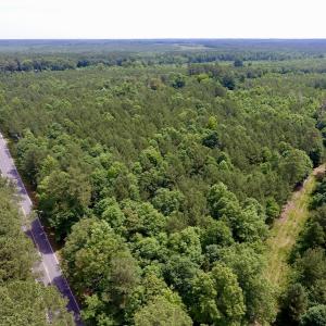 Photo of SOLD!  48.2 Acres of Timber Land For Sale in Halifax County NC!