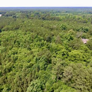 Photo of SOLD!  48.2 Acres of Timber Land For Sale in Halifax County NC!