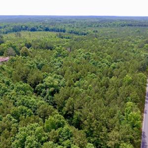 Photo of SOLD!  48.2 Acres of Timber Land For Sale in Halifax County NC!
