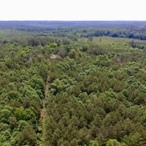 Photo of SOLD!  48.2 Acres of Timber Land For Sale in Halifax County NC!